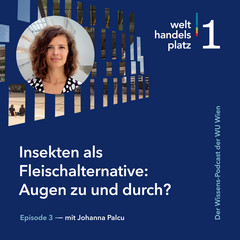 Sujet Welthandelsplatz 1 - Der Wissens-Podcast 
