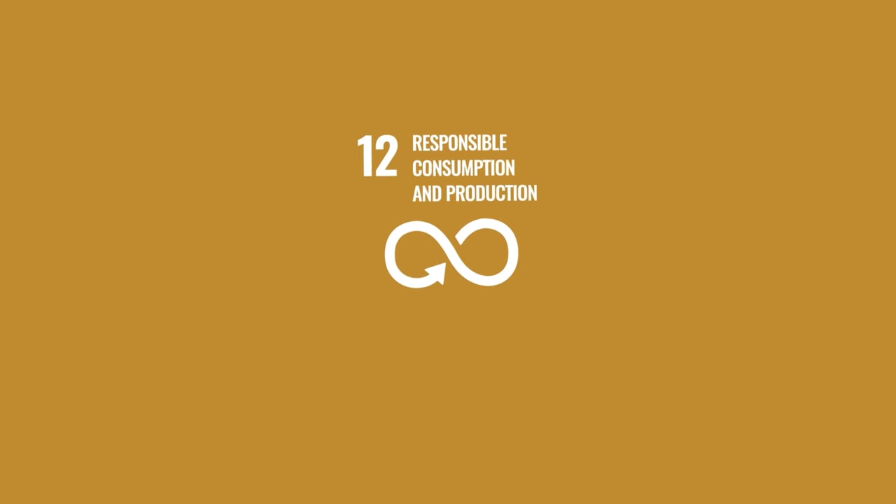 Video SDG 12 - Michael Mitsakos & Rohan