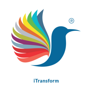 iTransform Logo