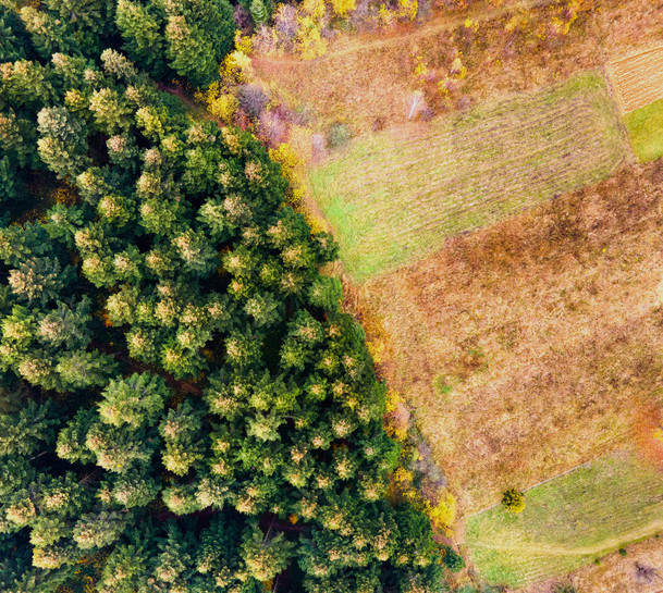 Luftaufnahme von Wald - ein Teil davon gerodet