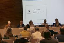 panel
