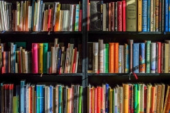 volles Bücherregal