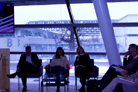 Panel 2 - Gewaltschutz