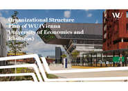 Organizational Structure Plan
