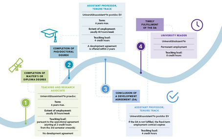 The picture show the career path "non tenure track": 1st step: After completion of a master's or diploma degree you can apply for a job as a teaching and research associate: term 6 years max; extent of employment - usually 30 hours/week; teaching load - persuant to operational agreement (starting at 2 credit hours from the 3rd semester onwards); no development agreement 2nd step: After completion of a PhD/doctoral degree you can apply for a job as a assistant professor (non-tenure track): term 6 years max; a development agreement is offered within 2 years extent of employment - usually 40 hours/week; teaching load - 4 credit hours 3rd step: After conclusion of a development agreement (DA) you will be assistant professor, tenure track; if DA is not fulfilled, the fixed term employment contract expires; teaching load - 4 credit hours 4th step: After timeliy fulfillment of the DA you will be university reader: premanent employment; teaching load - 8 credit hours. 