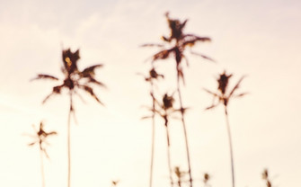Urlaub (v Pexels)