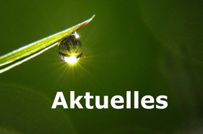 Aktuelles