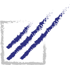Logo im Quadratformat von der Stiftung 