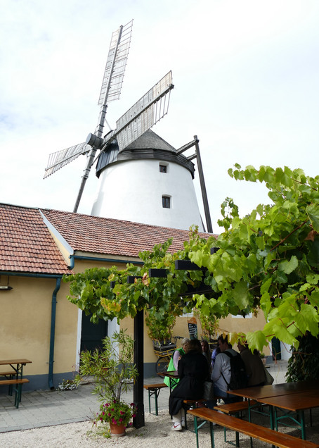 Hier sieht man eine Mühle