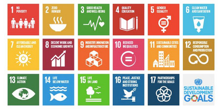 Überblick SDGs