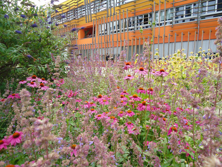 WU building surrounded by flowers