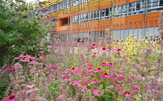 WU building surrounded by flowers