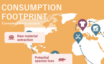 Darstellung Consumption Footprint