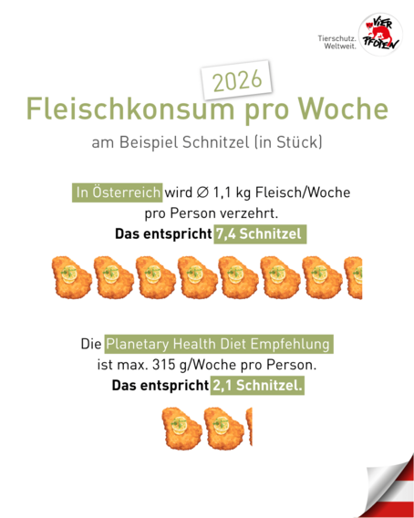 Vier Pfoten - Meat Exhaustion Day - Bild 3