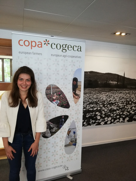 Here, you see intern Polona in a office of Copa Cogeca in Brussels, Belgium.