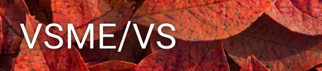 VSME/VS