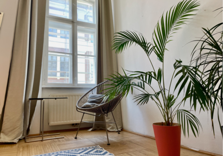 Apartment 4