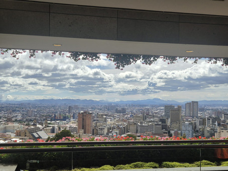 Ausblick
