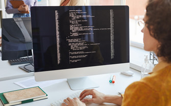 eine Frau am Computer