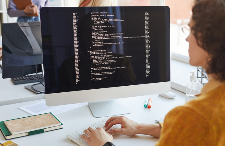 eine Frau am Computer