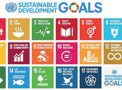 SDGs