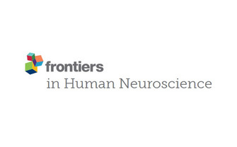 three coloured cubes and the words "frontiers in Human Neuroscience" on a white background