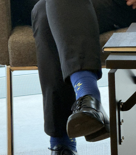 EU-Socken