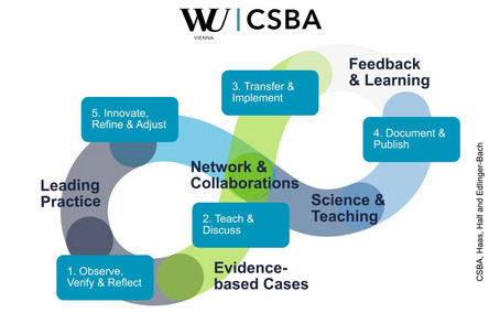 Loop Interaction at CSBA