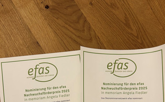 [Translate to English:] EFAS