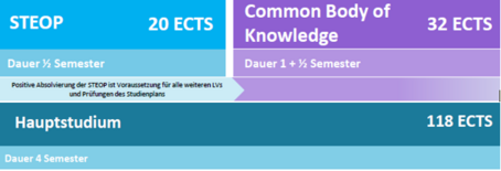 Aufbau Bachelorstudium Wirtschaftsrecht