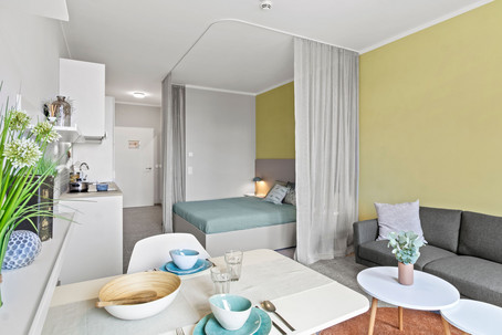 Comfort Plus apartment