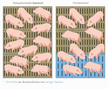 Bild Vollspaltenböden