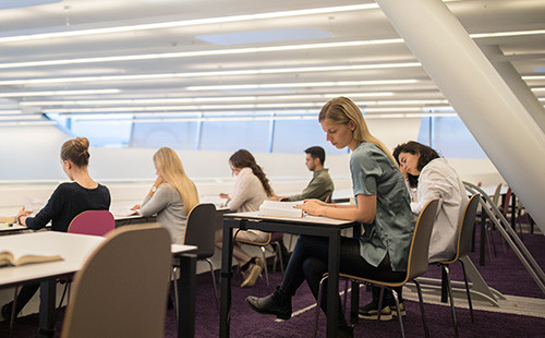 Studierende lernen in der Bibliothek