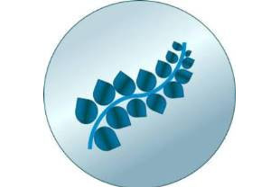 InScentive - Logo