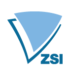 Logo ZSI