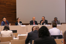 Panel