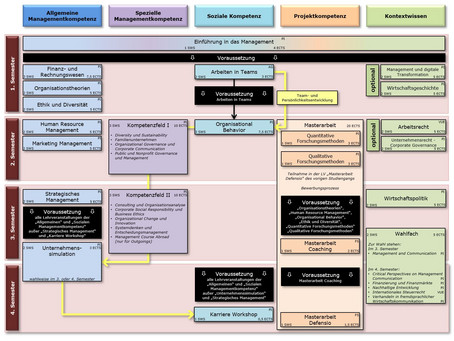 Curriculum grafisch