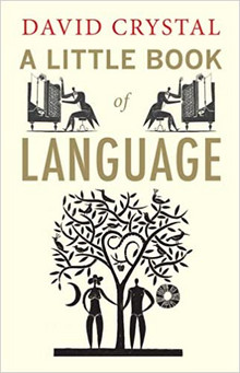 Buch: A little book of language