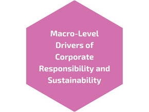Macro-Level Drivers