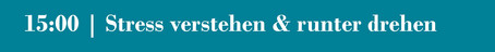 Session 2 - Stress verstehen