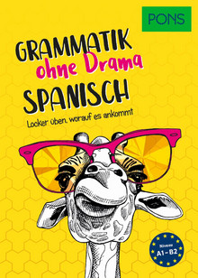 Buch Spanisch Grammatik ohne Drama
