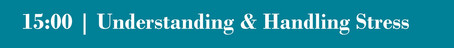 Session 2 - Understanding & Handling Stress