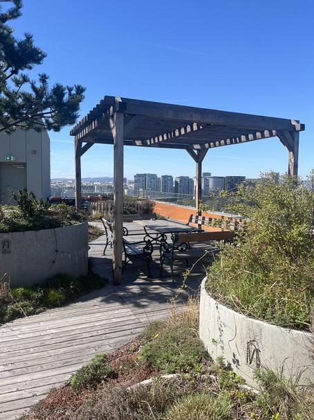 picture terrace garden Hansy