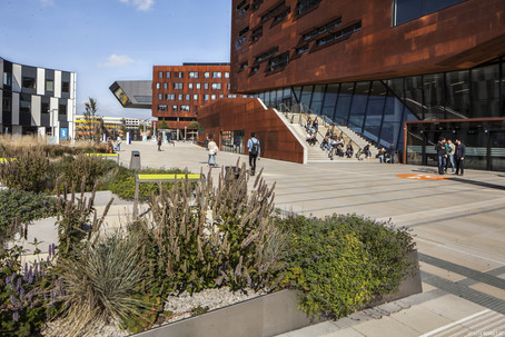 TC building and greenery