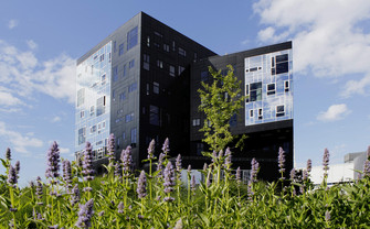 WU Executive Academy