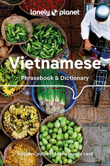 Buch Vietnamese Phrasebook