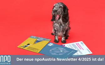 npoNewsletter 4/2025