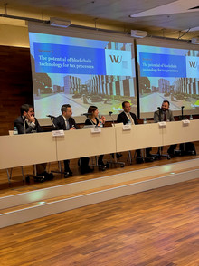 Panel 5