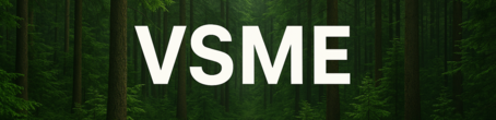 VSME