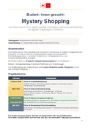 Mystery_Shopping_Studenten_Pitch_2026_.pdf